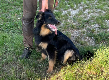 Dschass_August 2025 | Quelle: Martin Schmid